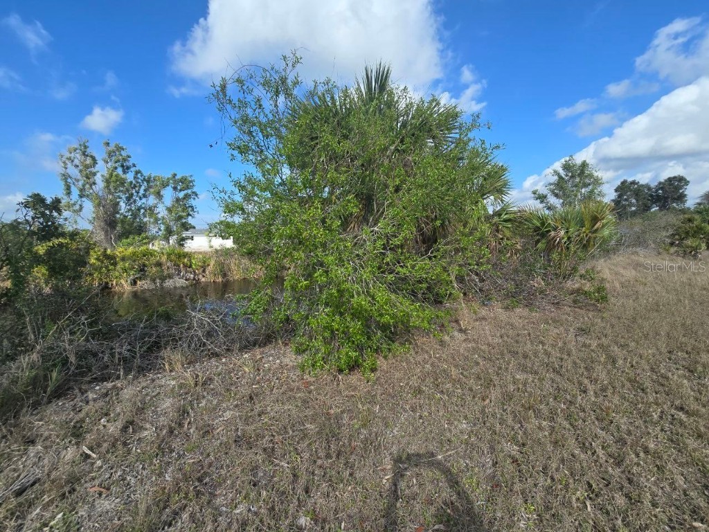 3813 NW 46th Lane Cape Coral FL 33993 TB8348352 image15