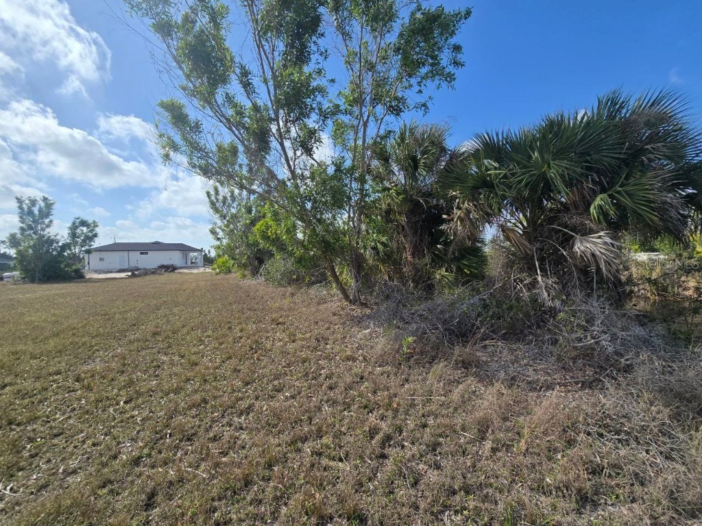 3813 NW 46th Lane Cape Coral FL 33993 TB8348352 image16