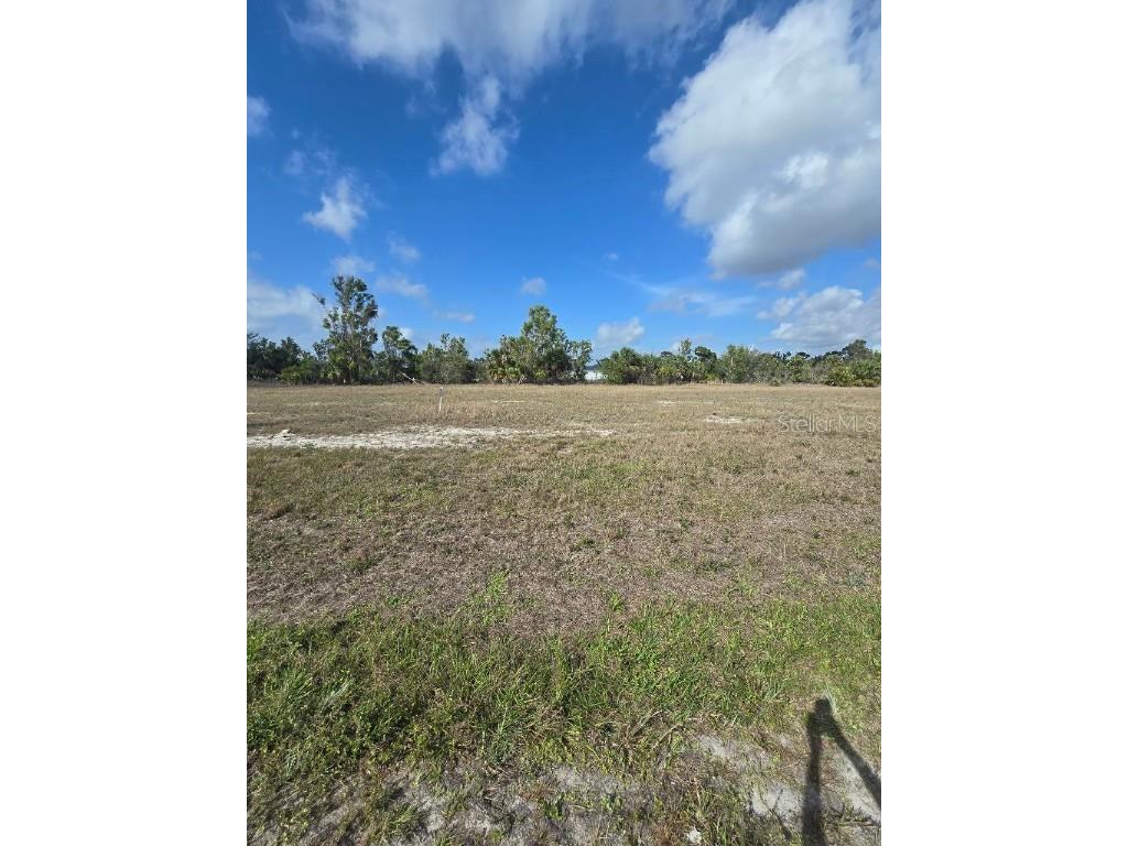 3813 NW 46th Lane Cape Coral FL 33993 TB8348352 image2