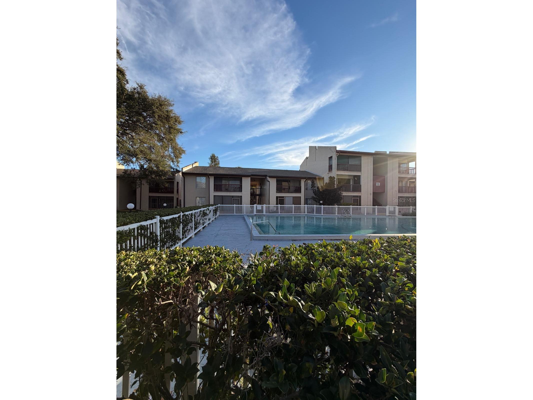 3813 S Lake Drive #231 Tampa FL 33614 W7882418 image3