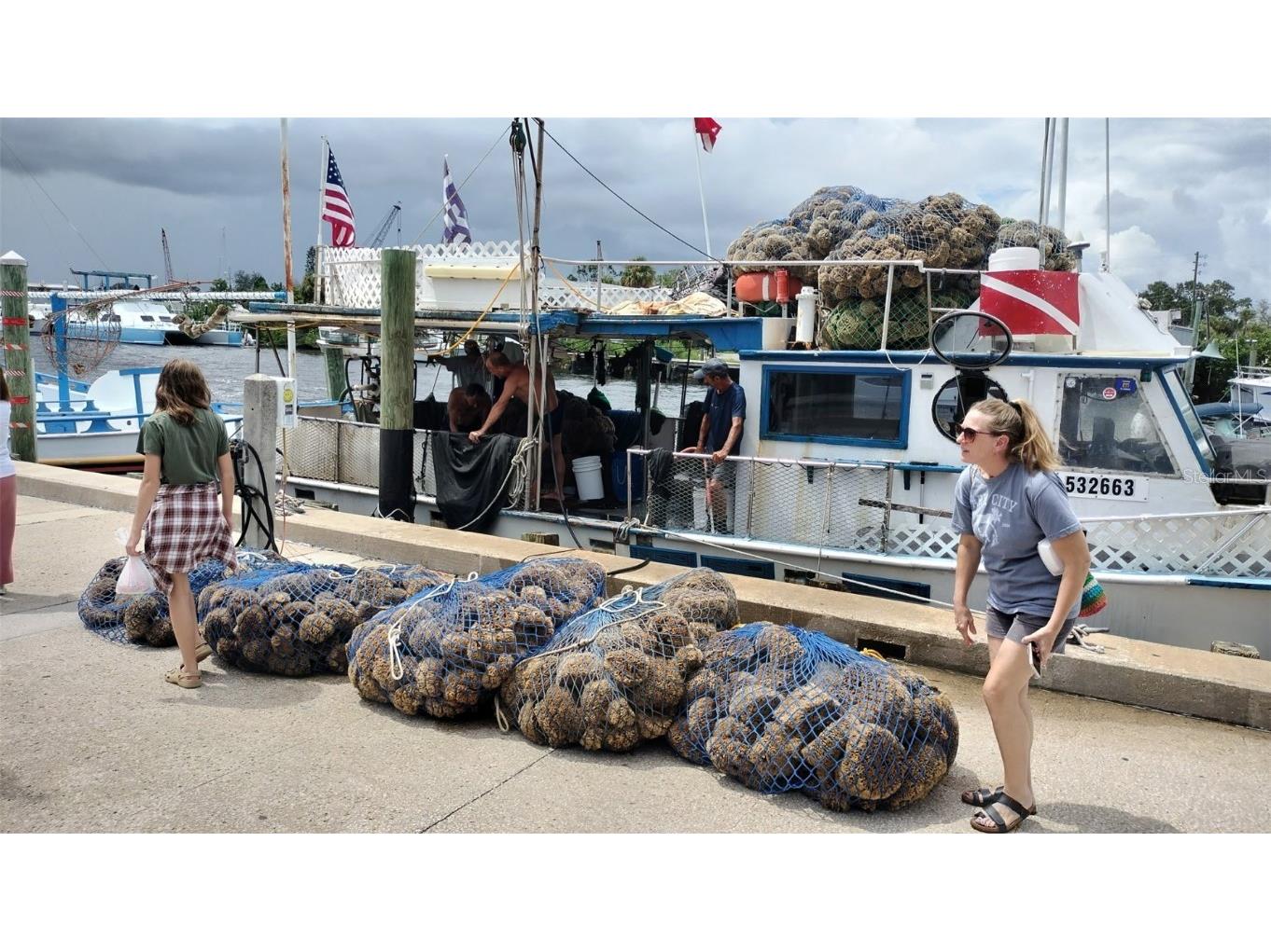 3813 Staysail Lane Holiday FL 34691 TB8453870 image28