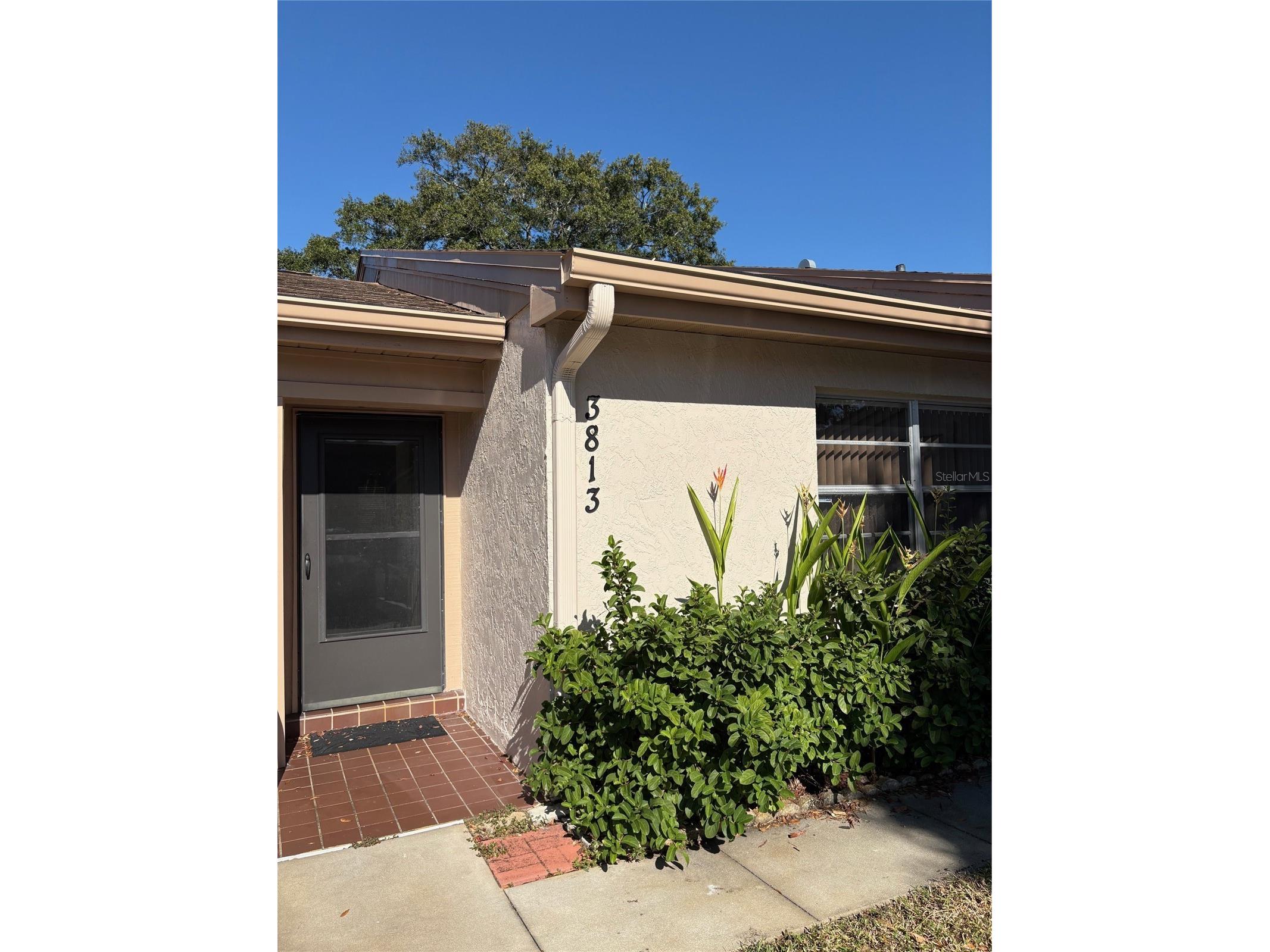 3813 Staysail Lane Holiday FL 34691 TB8505064 image2
