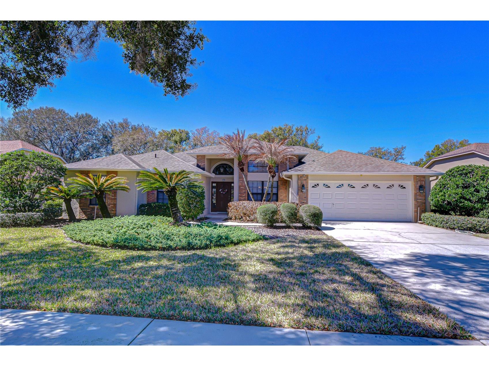 3813 Turkey Oak Drive Valrico FL 33596 TB8480056 image1