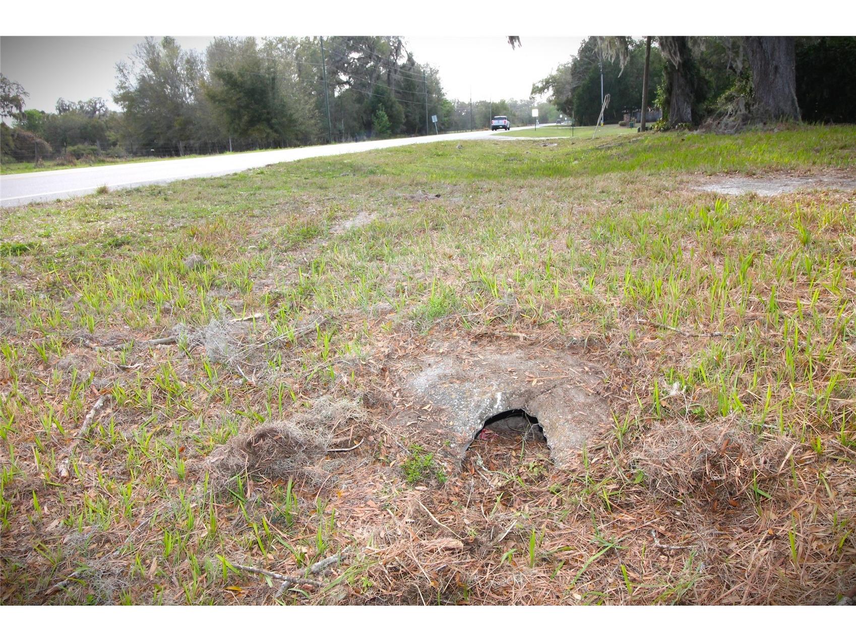 3814 E C 478 Webster FL 33597 G5109673 image4