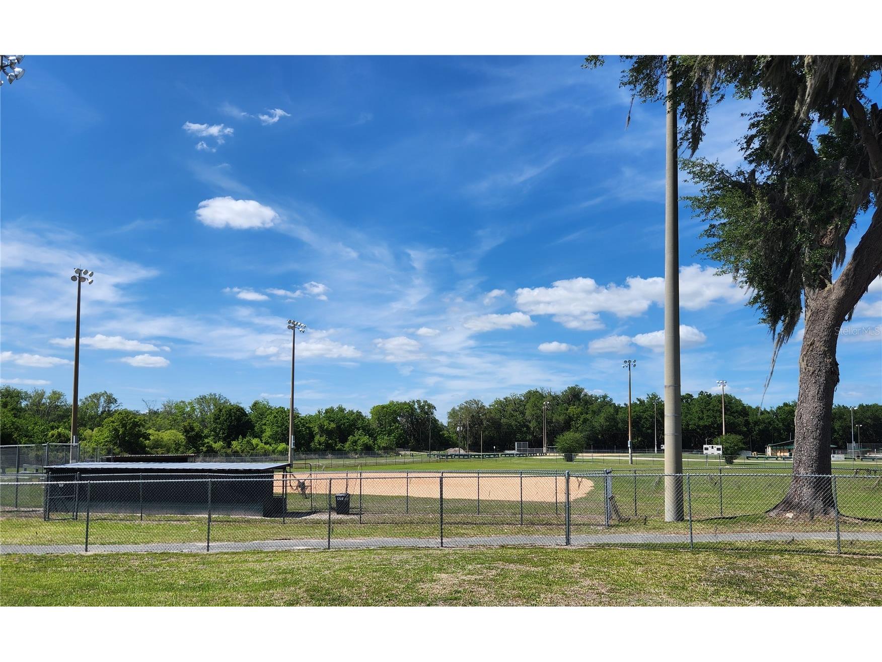 3814 E C 478 Webster FL 33597 G5109673 image8