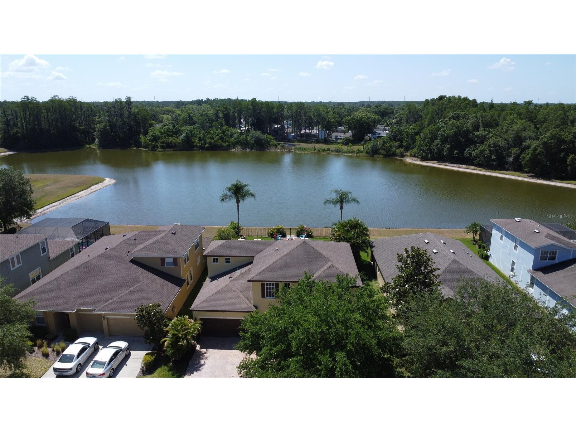 3814 Evergreen Oaks Drive Lutz FL 33558 TB8483942 image3