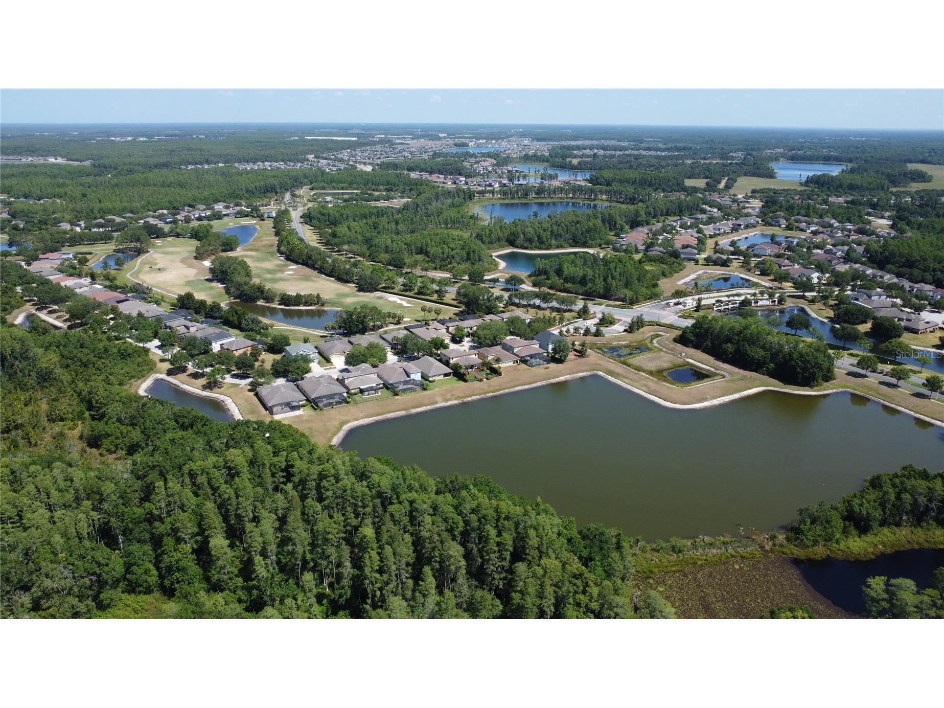 3814 Evergreen Oaks Drive Lutz FL 33558 TB8483942 image5