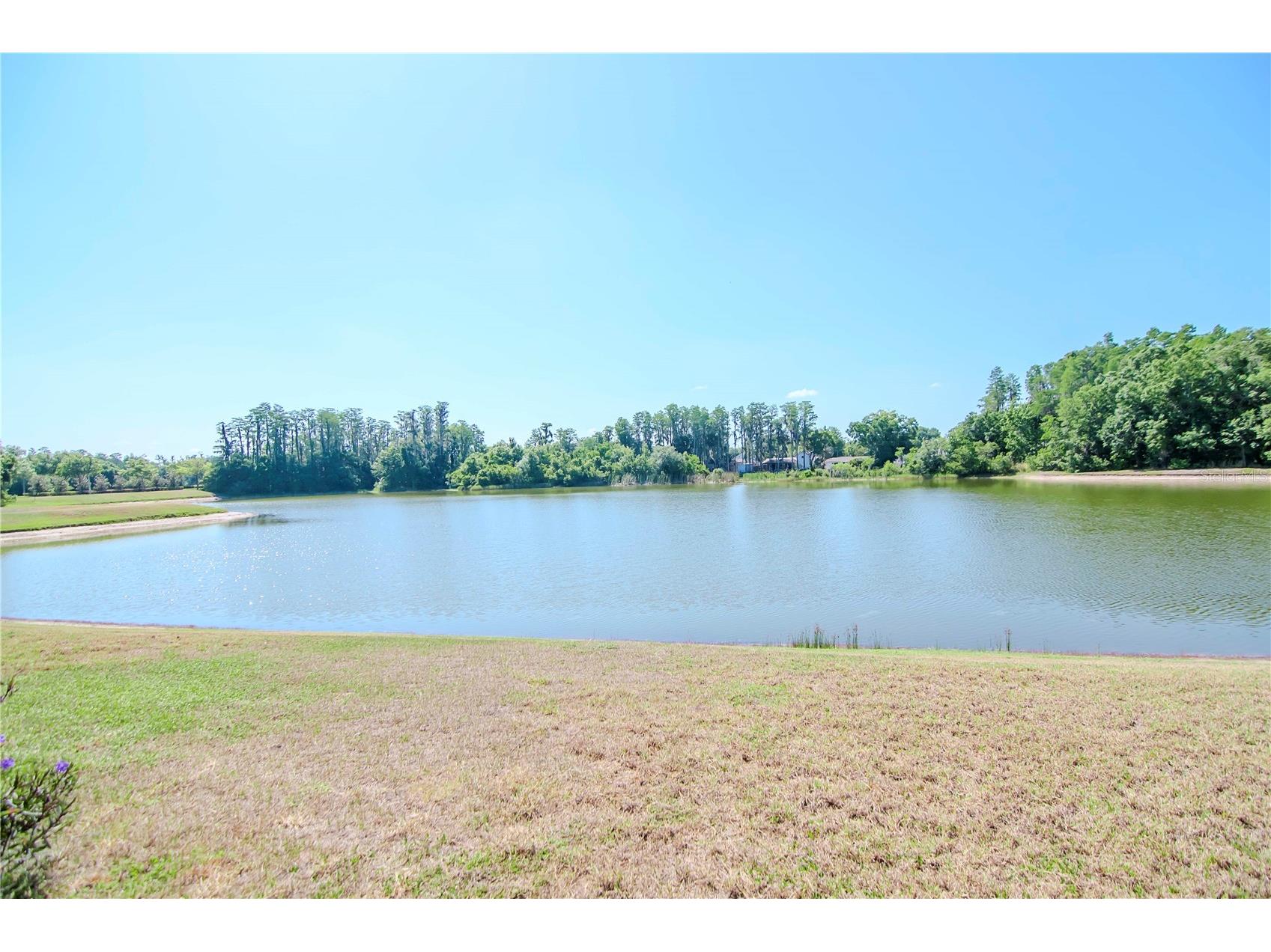 3814 Evergreen Oaks Drive Lutz FL 33558 TB8483942 image7