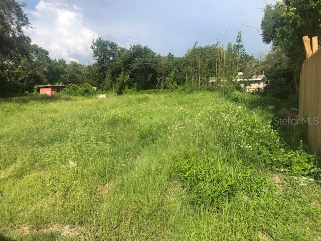 3814 Ford Street New Port Richey FL 34655 U8177613 image1