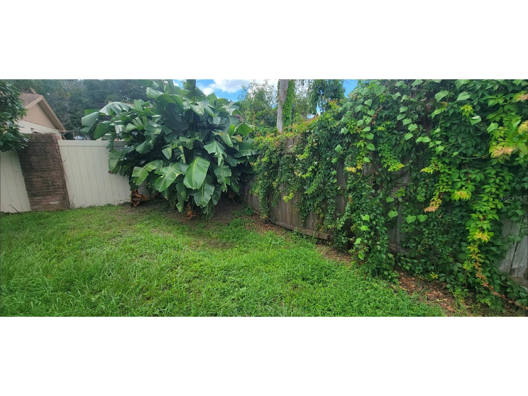 3814 Holiday Lake Drive Holiday FL 34691 W7868298 image13