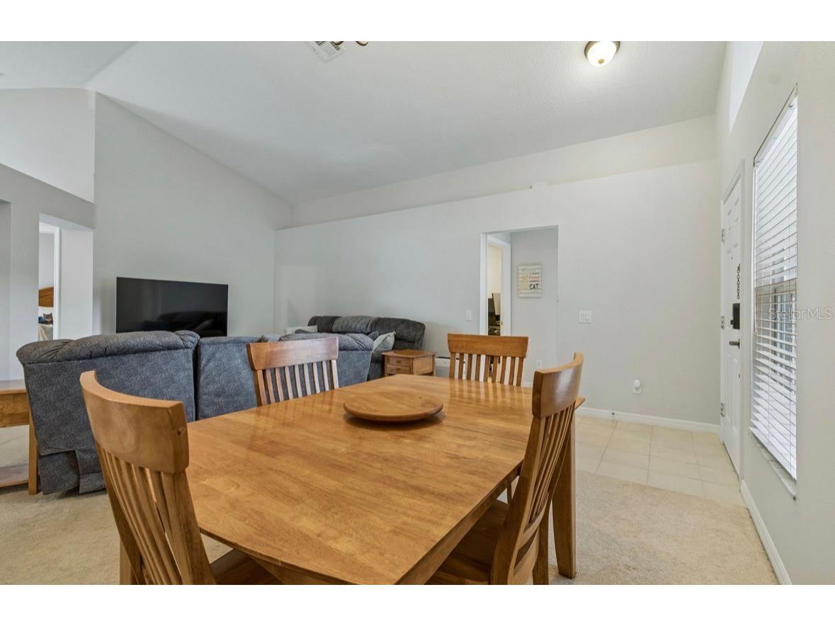 3814 Judson Drive Land O Lakes FL 34638 TB8524429 image10