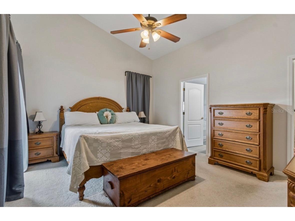 3814 Judson Drive Land O Lakes FL 34638 TB8524429 image20