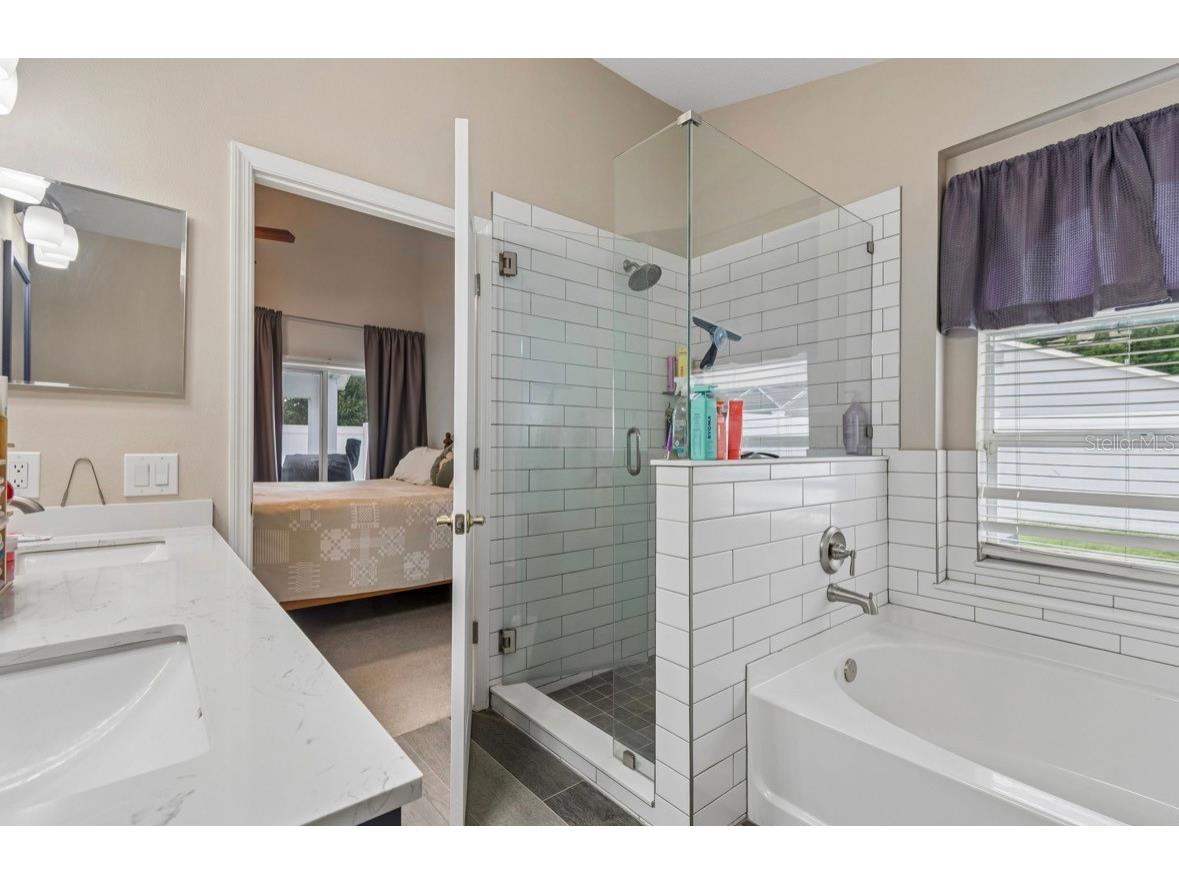 3814 Judson Drive Land O Lakes FL 34638 TB8524429 image26