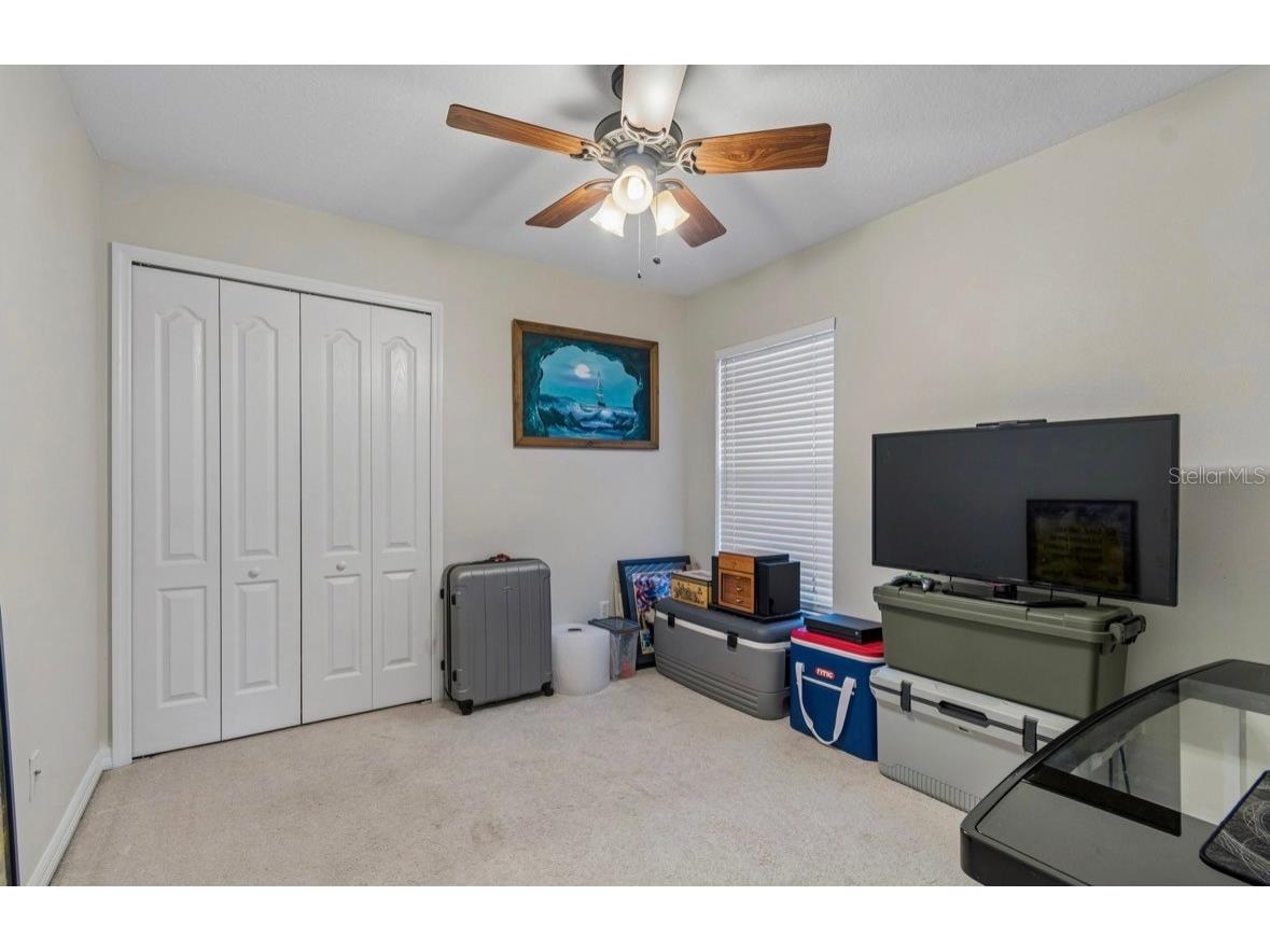 3814 Judson Drive Land O Lakes FL 34638 TB8524429 image27