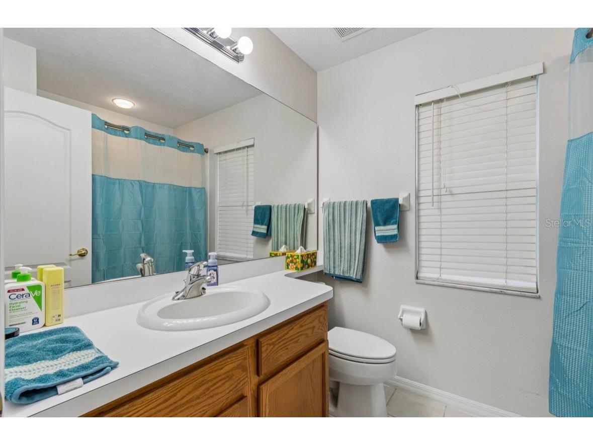 3814 Judson Drive Land O Lakes FL 34638 TB8524429 image29