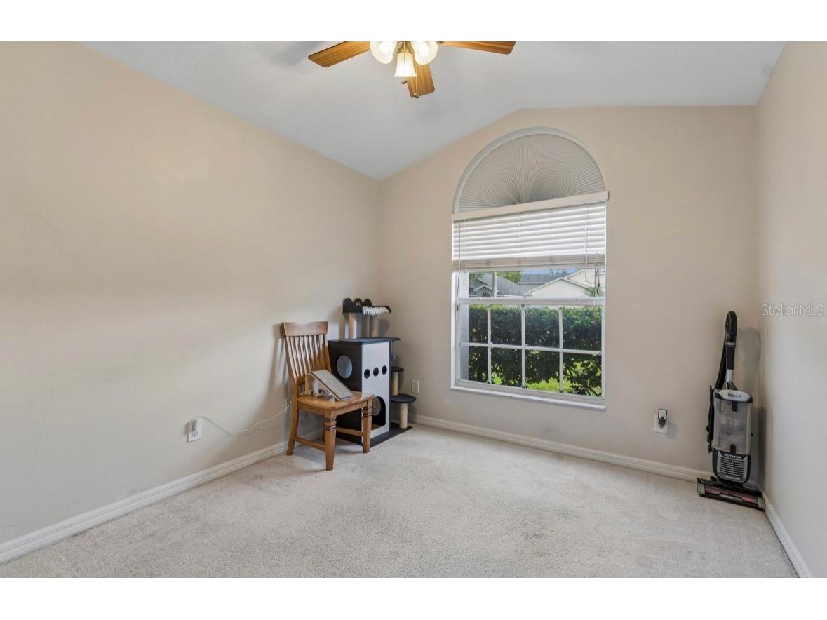 3814 Judson Drive Land O Lakes FL 34638 TB8524429 image30