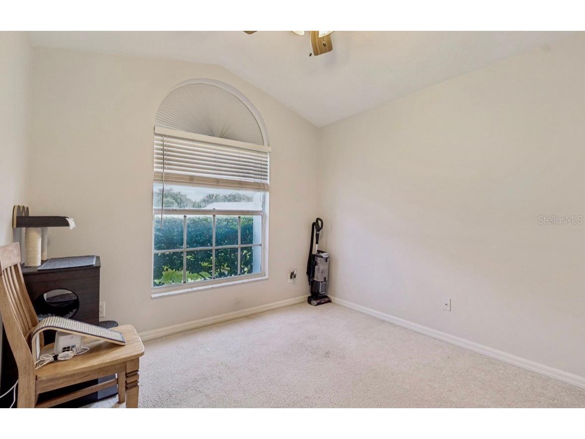 3814 Judson Drive Land O Lakes FL 34638 TB8524429 image31