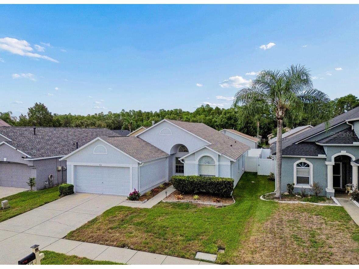3814 Judson Drive Land O Lakes FL 34638 TB8524429 image46