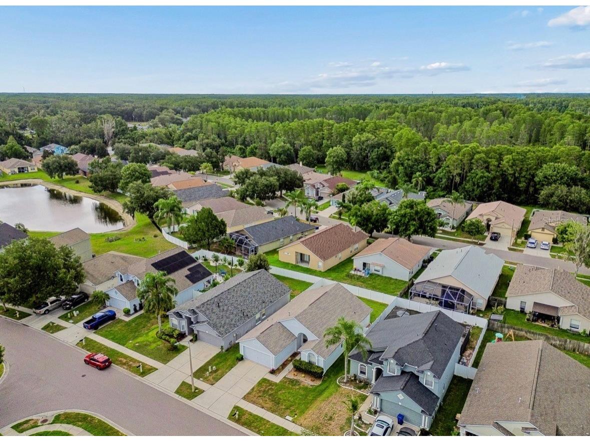3814 Judson Drive Land O Lakes FL 34638 TB8524429 image47