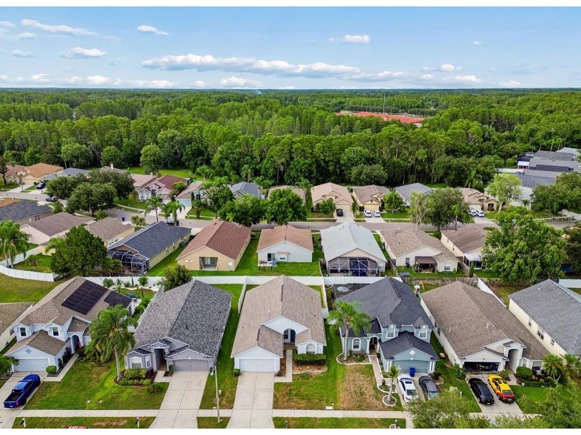 3814 Judson Drive Land O Lakes FL 34638 TB8524429 image48
