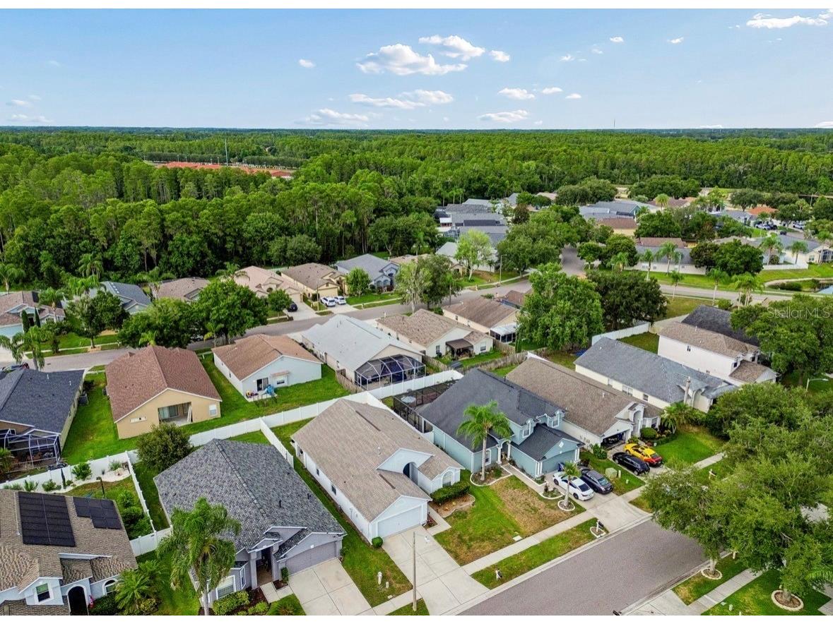 3814 Judson Drive Land O Lakes FL 34638 TB8524429 image49