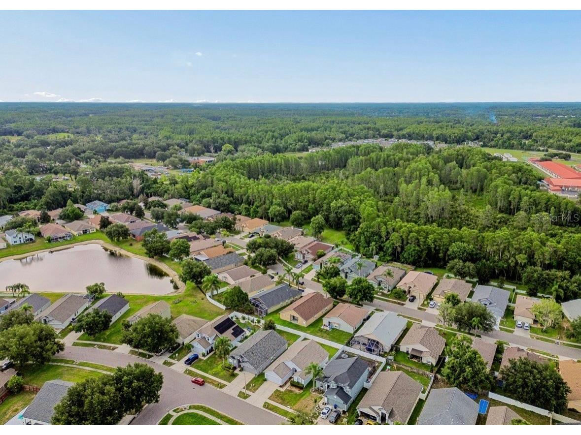 3814 Judson Drive Land O Lakes FL 34638 TB8524429 image50