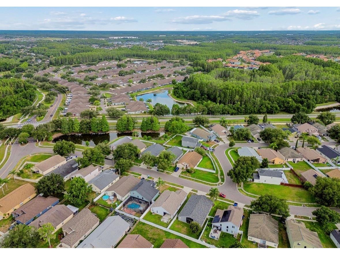 3814 Judson Drive Land O Lakes FL 34638 TB8524429 image51