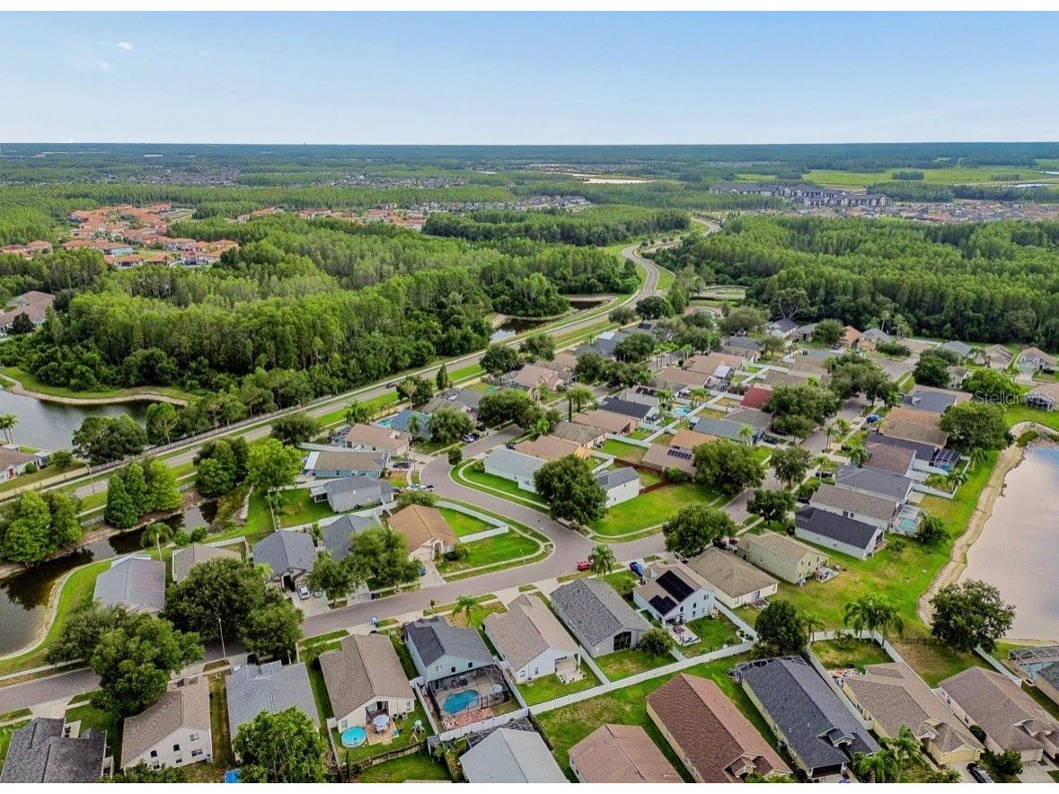 3814 Judson Drive Land O Lakes FL 34638 TB8524429 image52