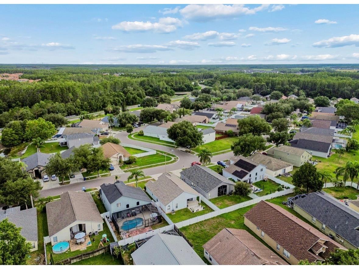 3814 Judson Drive Land O Lakes FL 34638 TB8524429 image53
