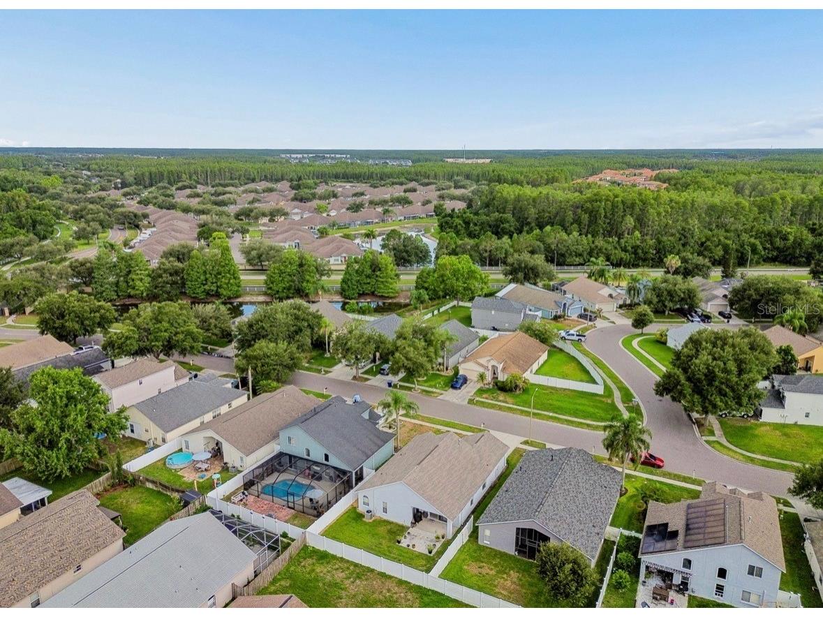 3814 Judson Drive Land O Lakes FL 34638 TB8524429 image54