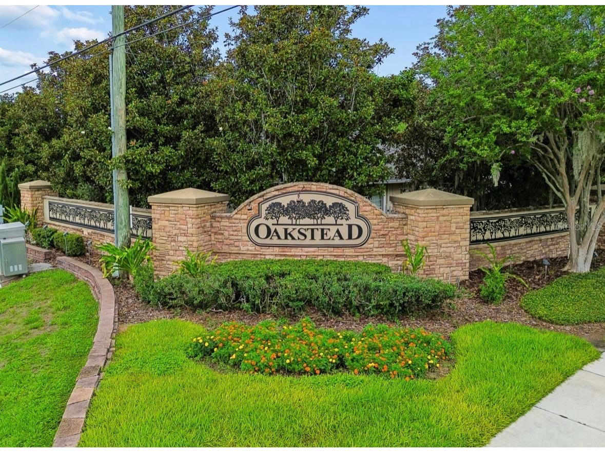 3814 Judson Drive Land O Lakes FL 34638 TB8524429 image57