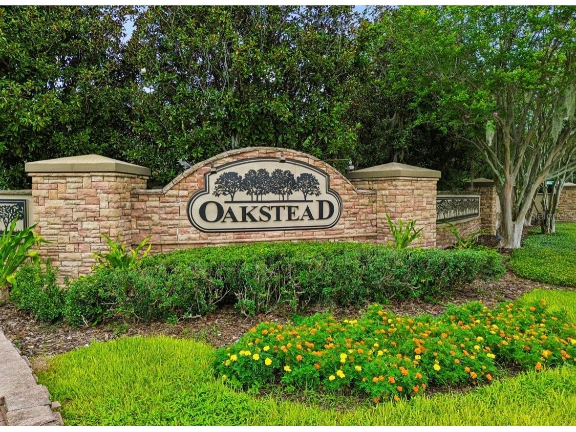 3814 Judson Drive Land O Lakes FL 34638 TB8524429 image58