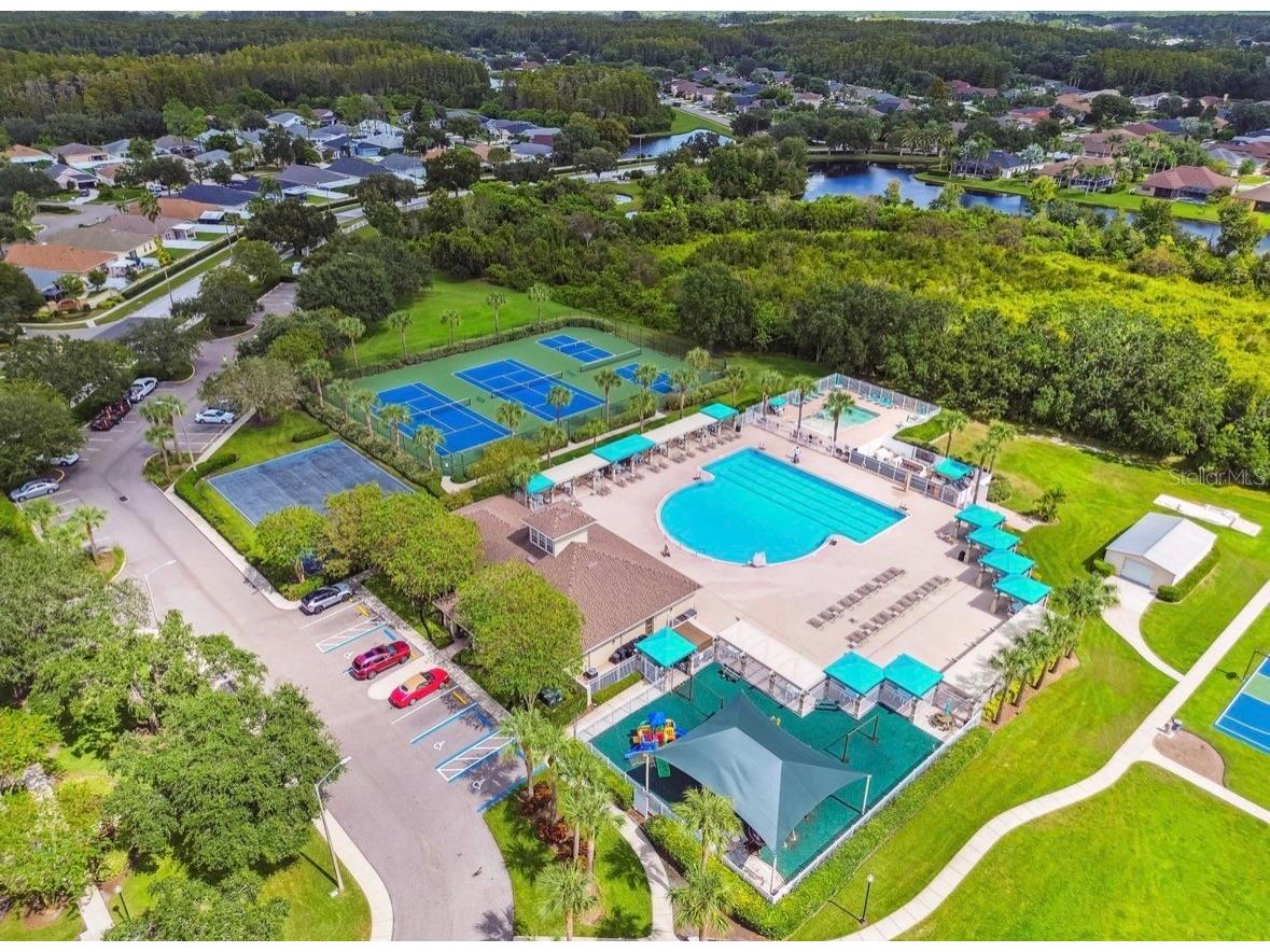 3814 Judson Drive Land O Lakes FL 34638 TB8524429 image62