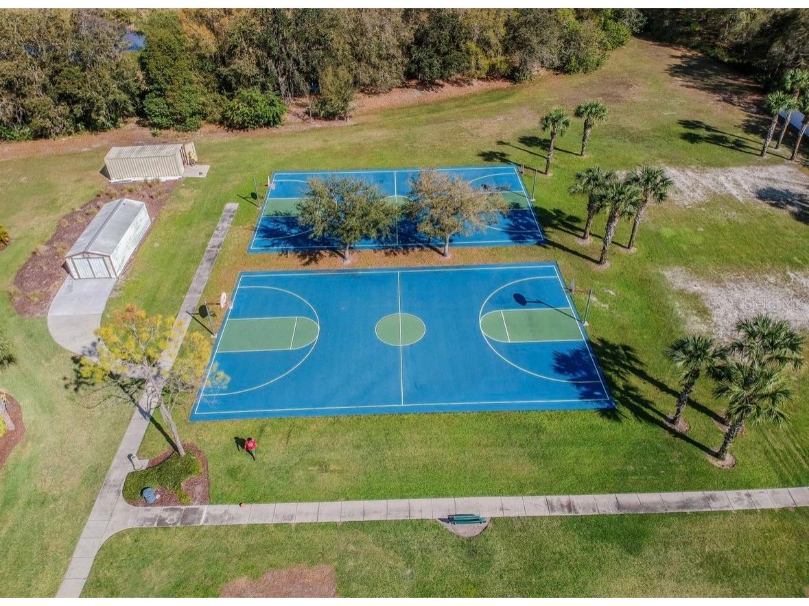 3814 Judson Drive Land O Lakes FL 34638 TB8524429 image64