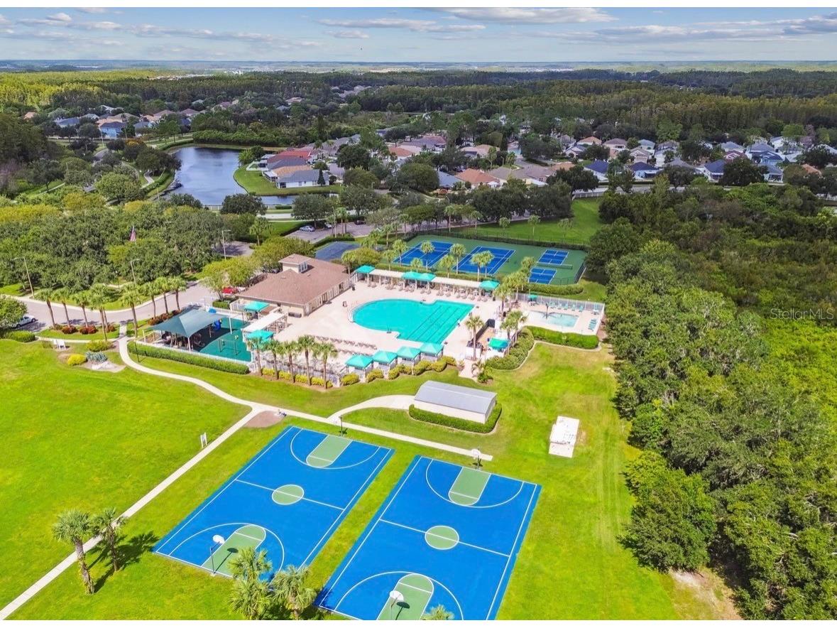 3814 Judson Drive Land O Lakes FL 34638 TB8524429 image65