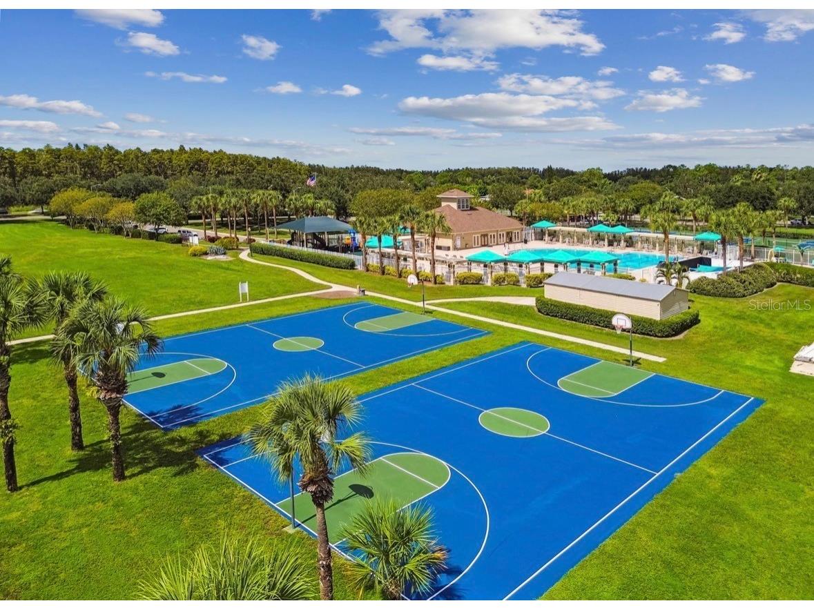 3814 Judson Drive Land O Lakes FL 34638 TB8524429 image67