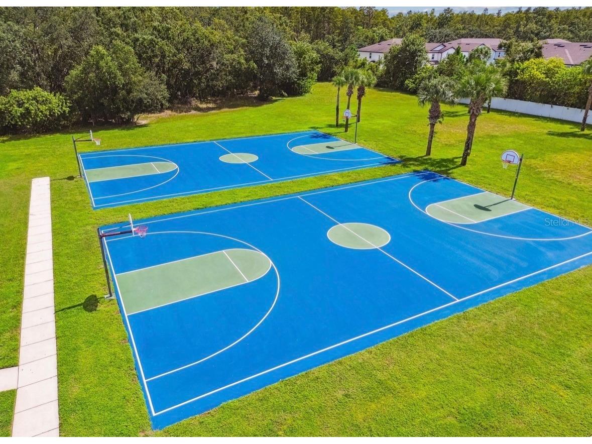 3814 Judson Drive Land O Lakes FL 34638 TB8524429 image68