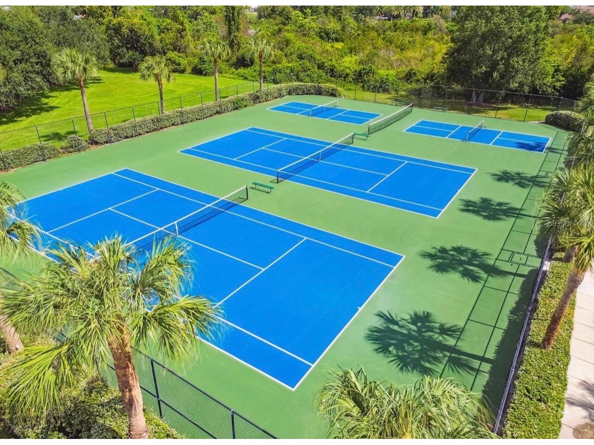 3814 Judson Drive Land O Lakes FL 34638 TB8524429 image72