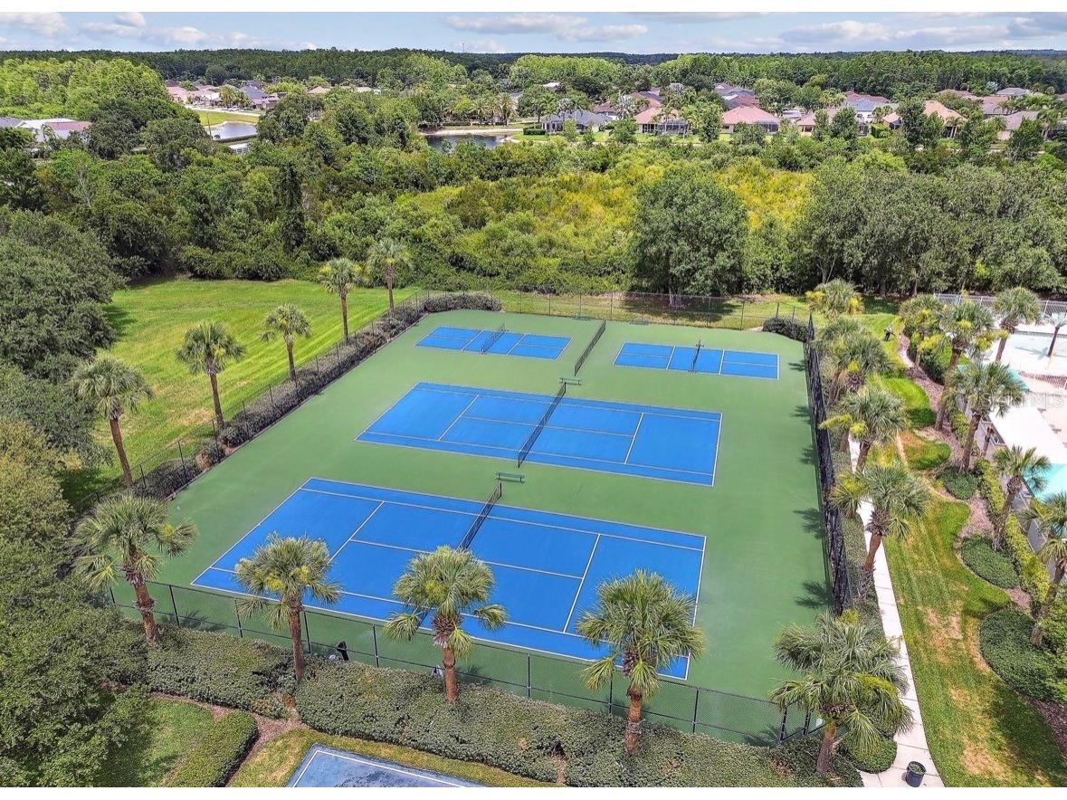 3814 Judson Drive Land O Lakes FL 34638 TB8524429 image75