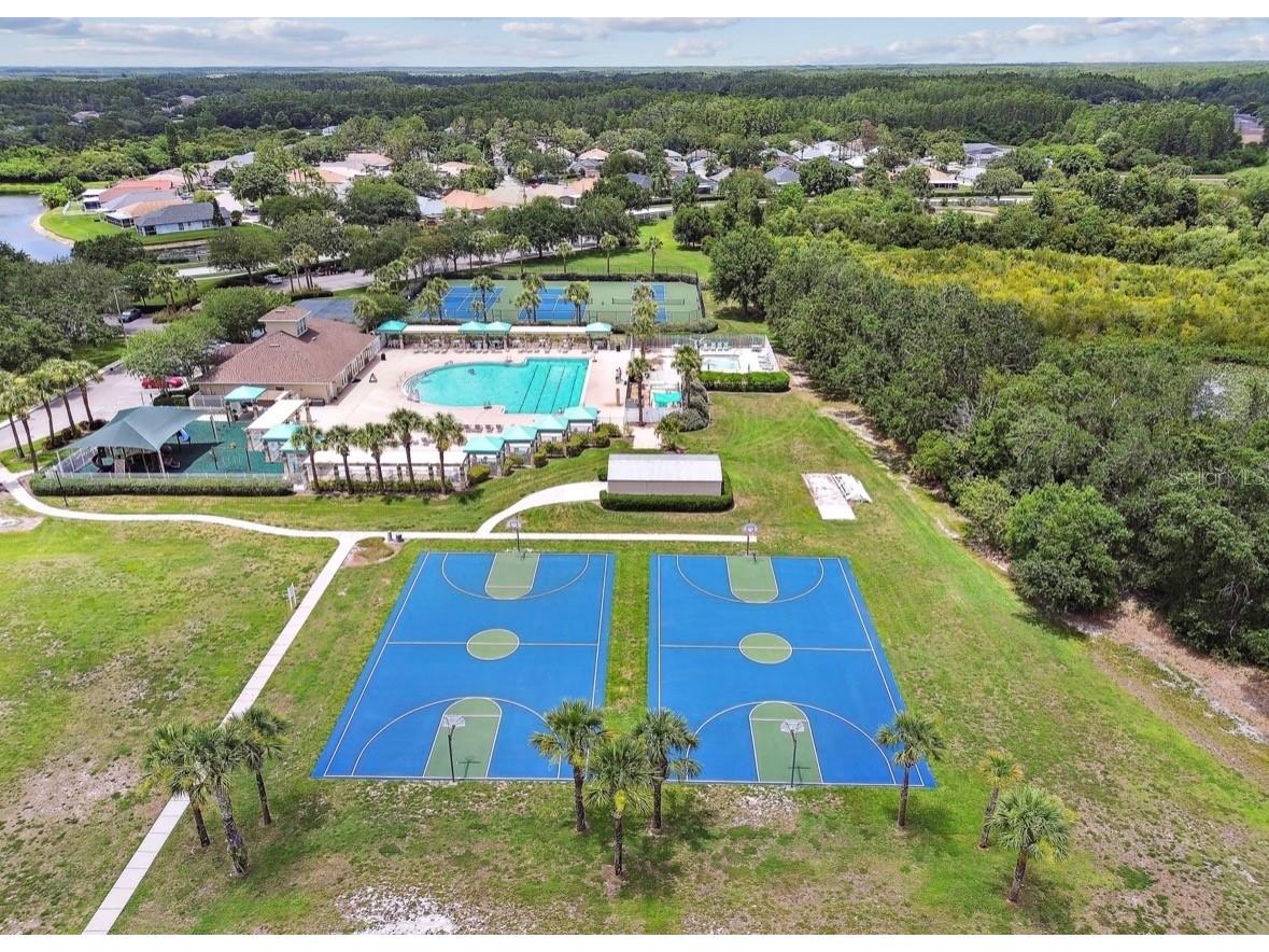 3814 Judson Drive Land O Lakes FL 34638 TB8524429 image76