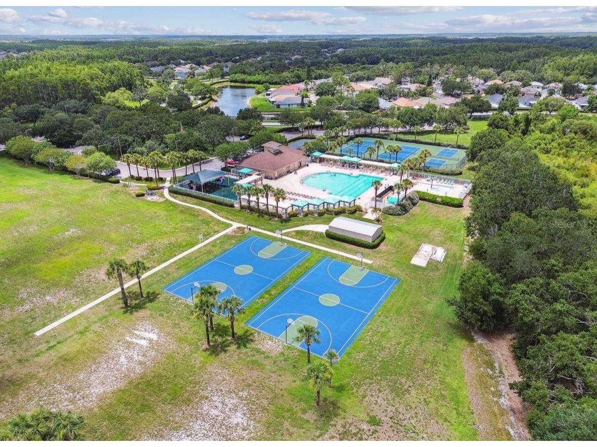 3814 Judson Drive Land O Lakes FL 34638 TB8524429 image77