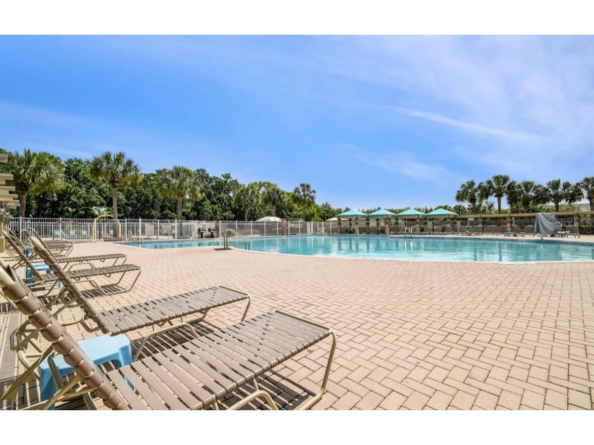 3814 Judson Drive Land O Lakes FL 34638 TB8524429 image86