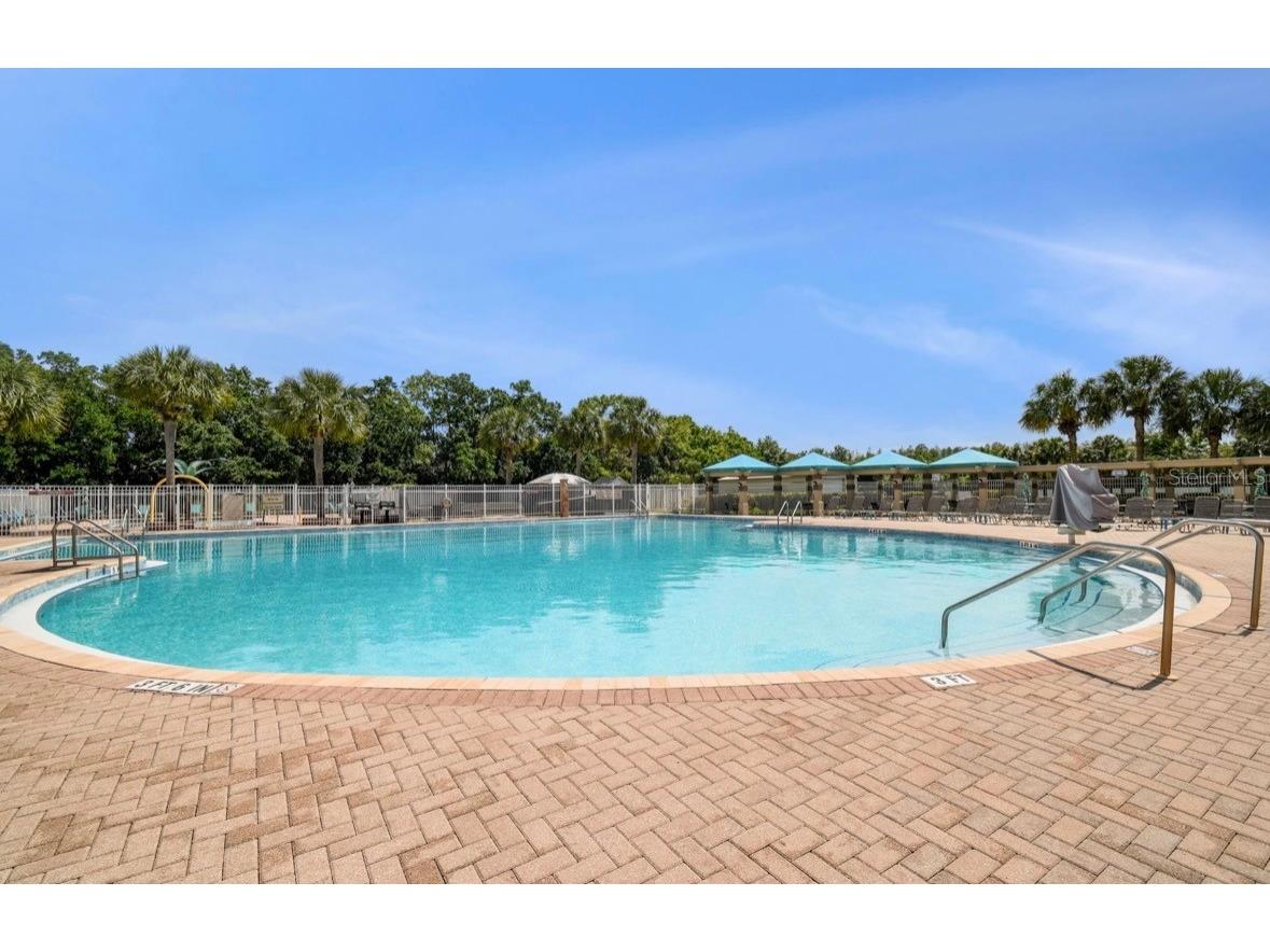 3814 Judson Drive Land O Lakes FL 34638 TB8524429 image87
