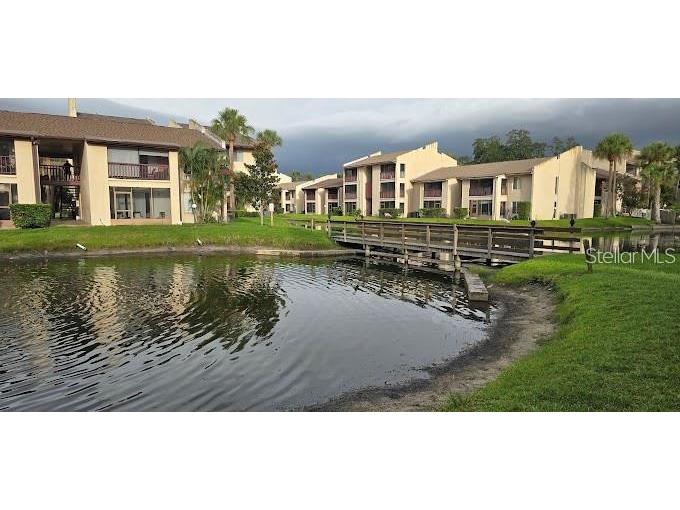 3814 N Lake Drive #65 Tampa FL 33614 TB8389288 image17