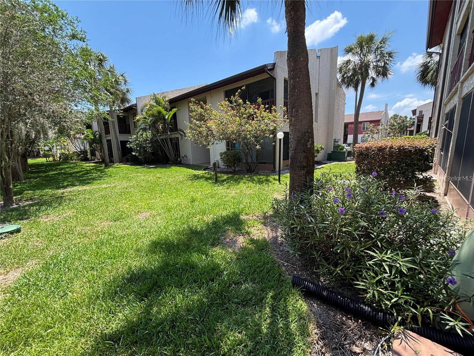 3814 N Lake Drive #65 Tampa FL 33614 TB8526530 image2