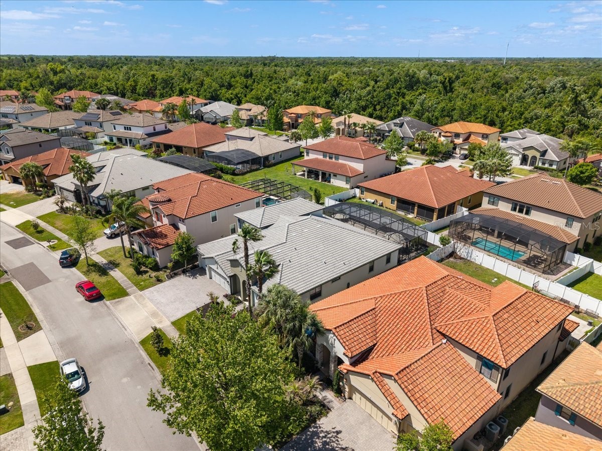 3814 Shoreside Drive Kissimmee FL 34746 - LAKE TOHO O6399579 image59