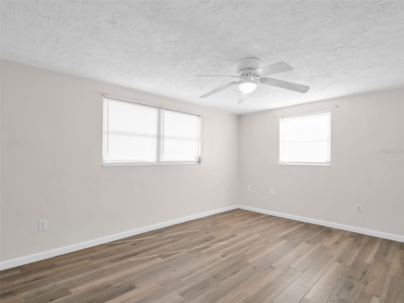 3814 Sunray Drive Holiday FL 34691 - Conley Lake TB8447802 image15