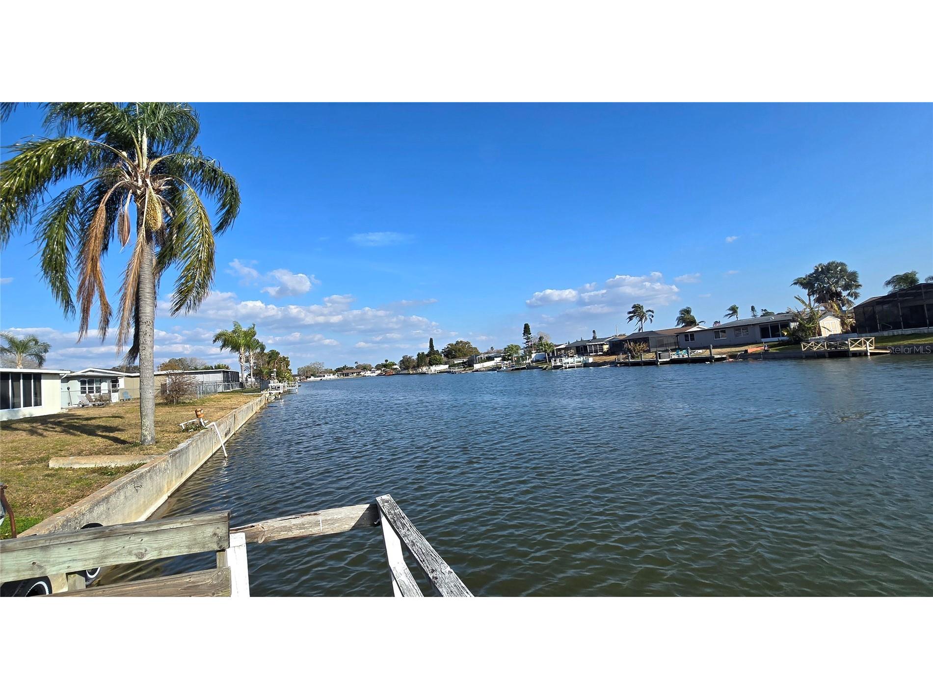 3814 Sunray Drive Holiday FL 34691 - Conley Lake TB8447802 image2