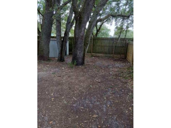 3814 Valley Tree Drive Tampa FL 33610 TB8436806 image19
