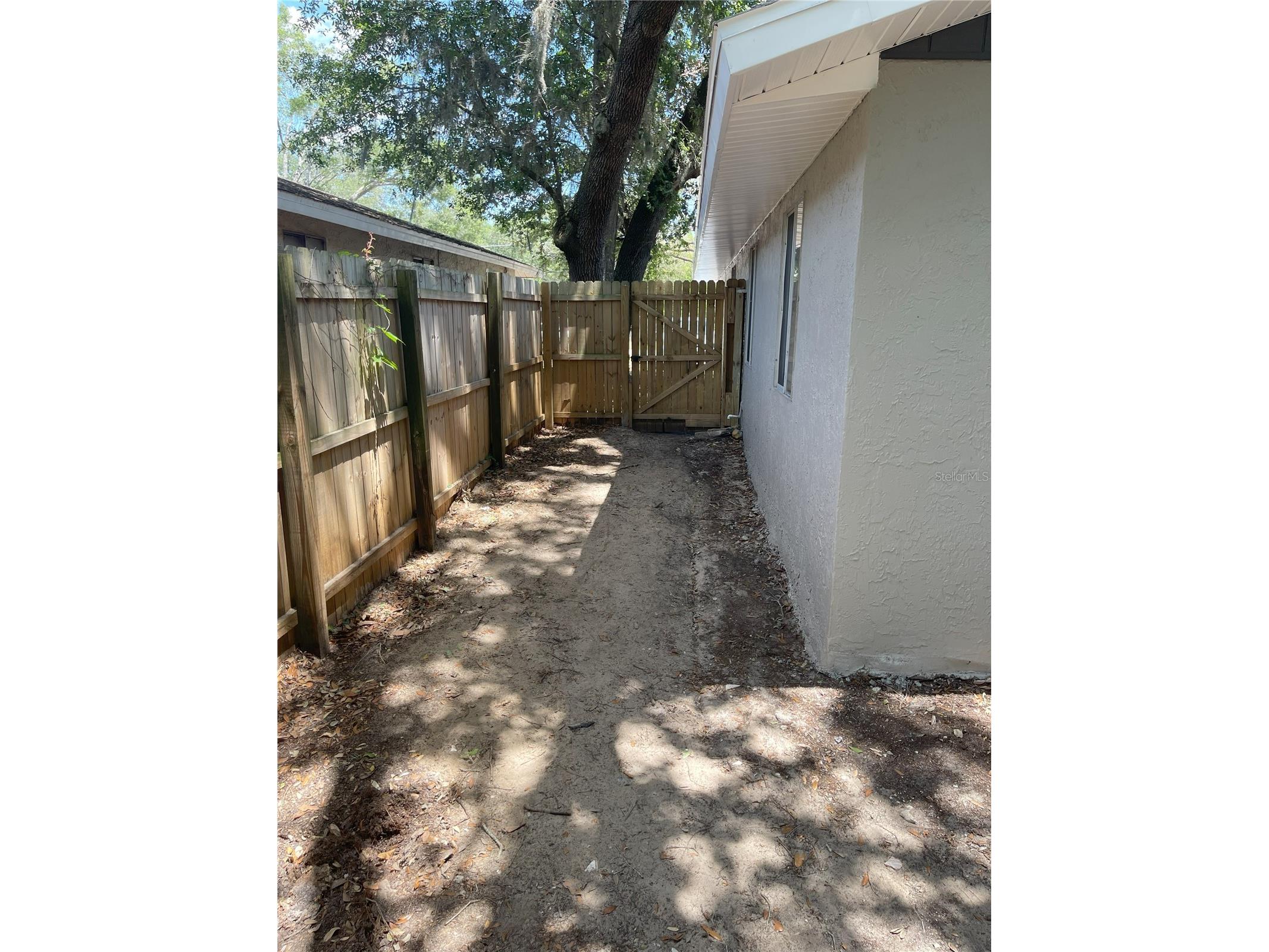 3814 Valley Tree Drive Tampa FL 33610 TB8436806 image20